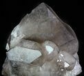 Smoky Quartz Crystal - Brazil #60763-2